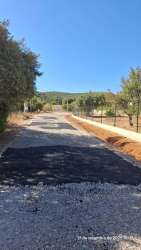 Photo of this report