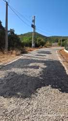 Photo of this report