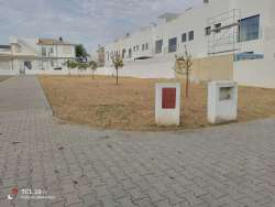 Photo of this report