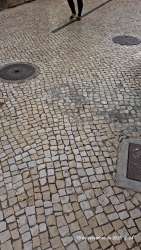 Photo of this report