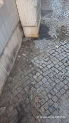 Photo of this report