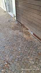 Photo of this report