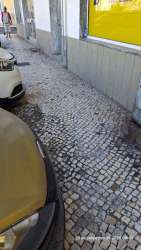 Photo of this report