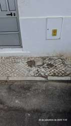 Photo of this report