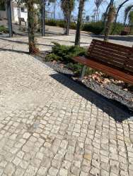 Photo of this report