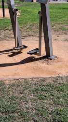 Photo of this report