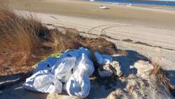 Photo of this report