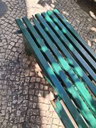 Photo of this report