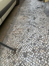 Photo of this report