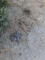 Photo of this report