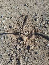 Photo of this report