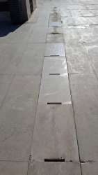 Photo of this report