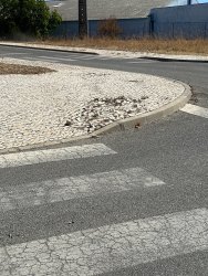 Photo of this report