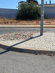 Photo of this report