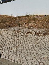 Photo of this report