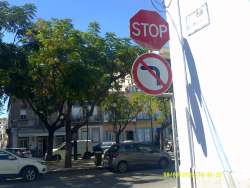 Photo of this report