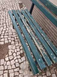 Photo of this report