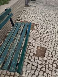 Photo of this report