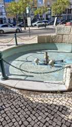 Photo of this report