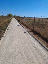 Photo of this report