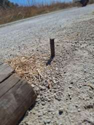 Photo of this report