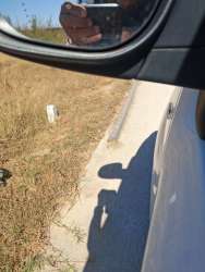 Photo of this report