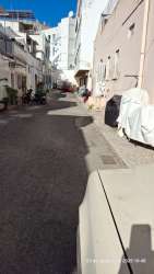 Photo of this report