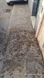 Photo of this report