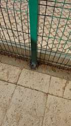 Photo of this report