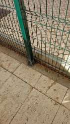 Photo of this report