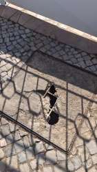 Photo of this report