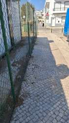 Photo of this report