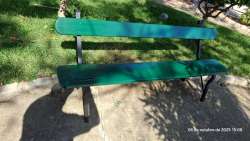 Photo of this report