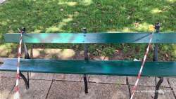 Photo of this report