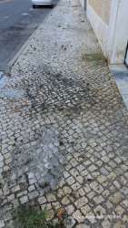 Photo of this report