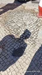 Photo of this report