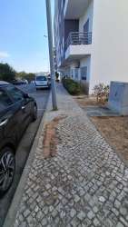 Photo of this report