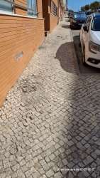 Photo of this report