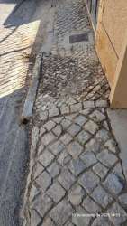 Photo of this report