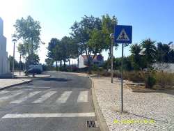 Photo of this report