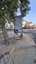 Photo of this report