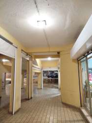 Photo of this report