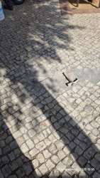 Photo of this report