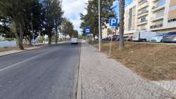 Photo of this report