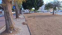 Photo of this report