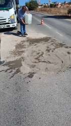 Photo of this report