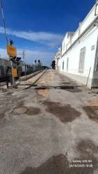 Photo of this report