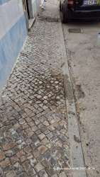 Photo of this report