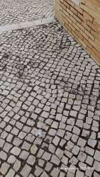 Photo of this report