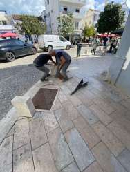 Photo of this report